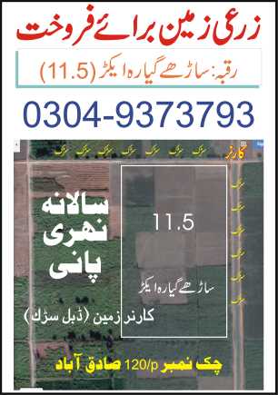 agriculture land for sale.. in Rahim Yar Khan, Punjab - Free Business Listing
