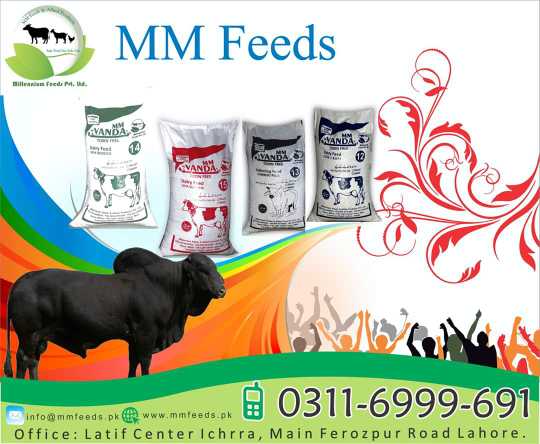 Cattle Feed.. in Rawalpindi, Punjab - Free Business Listing