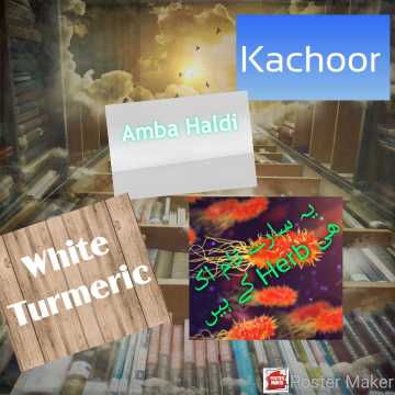 امبا ھلدی.. in Kasur, Punjab - Free Business Listing