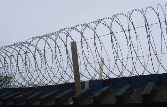 razor  wire.. in Lahore, Punjab - Free Business Listing