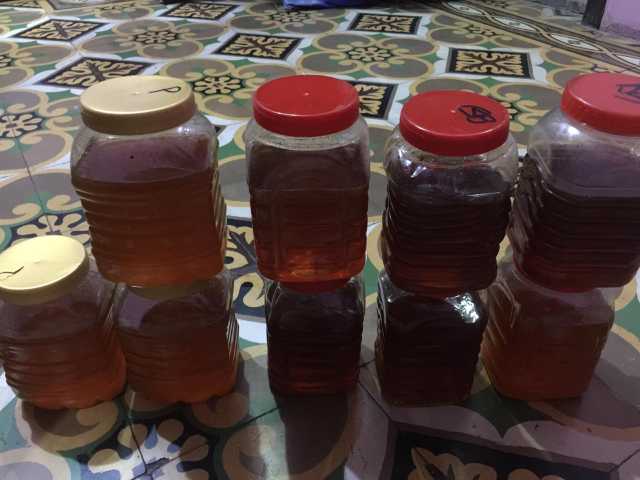 Pure honey from afghanist.. in Karachi City, Sindh - Free Business Listing
