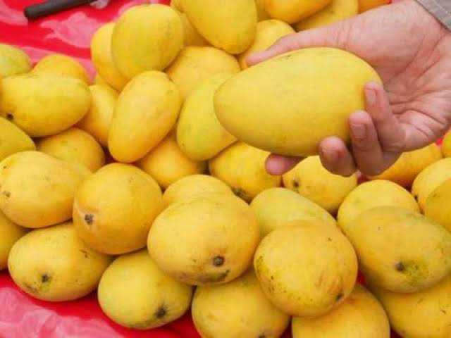 mango.. in Karachi City, Sindh - Free Business Listing