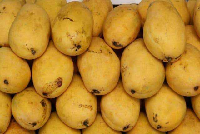 mango.. in Karachi City, Sindh - Free Business Listing