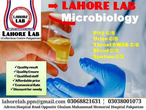 Lahore Medical lab Pakpat.. in Pakpattan, Punjab - Free Business Listing
