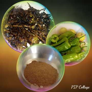 home made food with faiza.. in Karachi City, Sindh 75210 - Free Business Listing