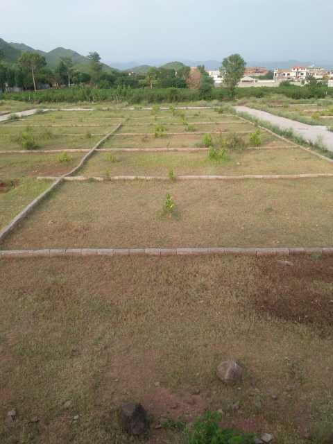 plot for sale in barakahu.. in Islamabad, Islamabad Capital Territory - Free Business Listing