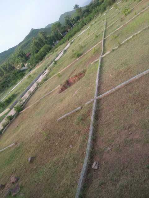 plot for sale in barakahu.. in Islamabad, Islamabad Capital Territory - Free Business Listing