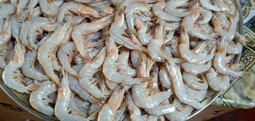 prwons online Ordar o.. in Karachi City, Sindh - Free Business Listing