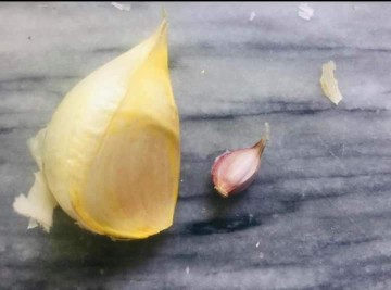 NARC G1 Garlic seed for s.. in Rawalpindi, Punjab 46000 - Free Business Listing