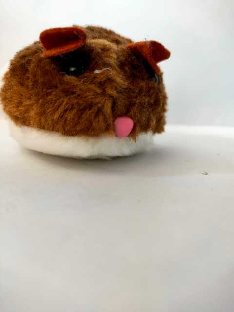 Soft hamster toy for chil.. in Lahore, Punjab - Free Business Listing