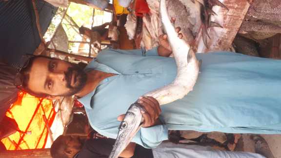 White paplet fish A great.. in Karachi City, Sindh - Free Business Listing