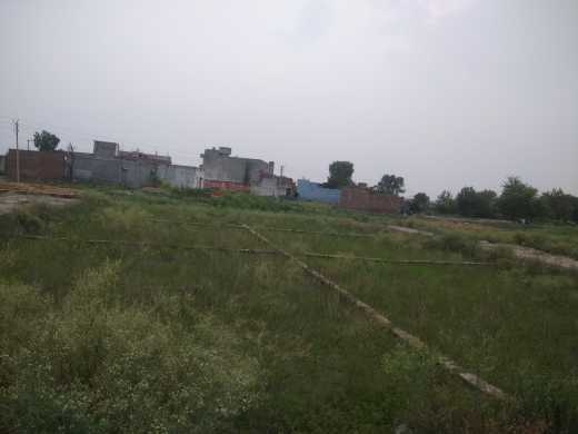 Plot Sale in Loni Near Tr.. in New Delhi, Delhi 110034 - Free Business Listing