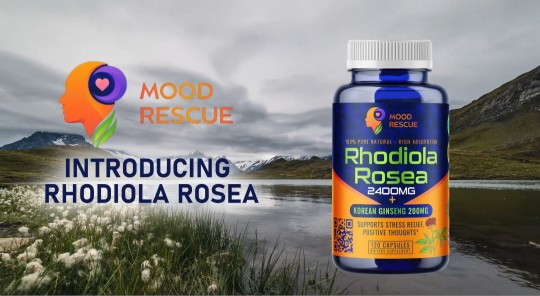 Rhodiola Rosea 2400mg Sup.. in Buckeye, AZ 85396 - Free Business Listing