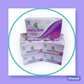 Brand -Herbalcity bathing.. in New Delhi, Delhi 110097 - Free Business Listing